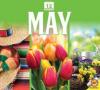 Cover image of May
