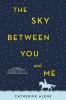 Cover image of The sky between you and me