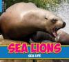 Cover image of Sea lions