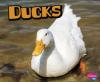 Cover image of Ducks