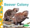 Cover image of Beaver colony