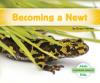 Cover image of Becoming a newt