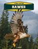 Cover image of Hawks