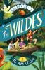 Cover image of The Amazon