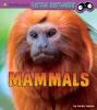 Cover image of Mammals