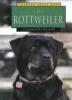 Cover image of The Rottweiler