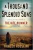 Cover image of A thousand splendid suns