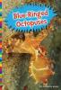Cover image of Blue-ringed octopuses