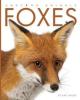 Cover image of Foxes