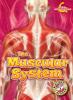 Cover image of The muscular system