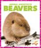 Cover image of Beavers