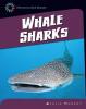 Cover image of Whale sharks