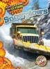 Cover image of Snowplows