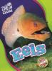 Cover image of Eels