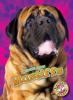 Cover image of Mastiffs