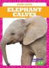 Cover image of Elephant calves