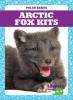 Cover image of Arctic fox kits
