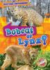 Cover image of Bobcat or lynx?