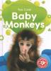 Cover image of Baby monkeys