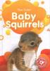 Cover image of Baby squirrels