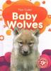 Cover image of Baby wolves