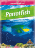 Cover image of Parrotfish