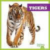 Cover image of Tigers