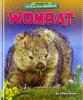 Cover image of Wombat