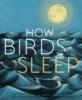 Cover image of How birds sleep