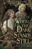 Cover image of Where the dark stands still