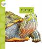 Cover image of Turtles
