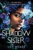Cover image of The shadow sister