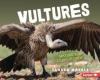 Cover image of Vultures