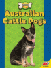 Cover image of Australian cattle dogs