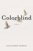 Cover image of Colorblind