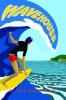 Cover image of Wavehouse