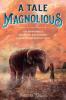 Cover image of A tale Magnolious