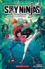 Cover image of Spy Ninjas