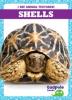 Cover image of Shells